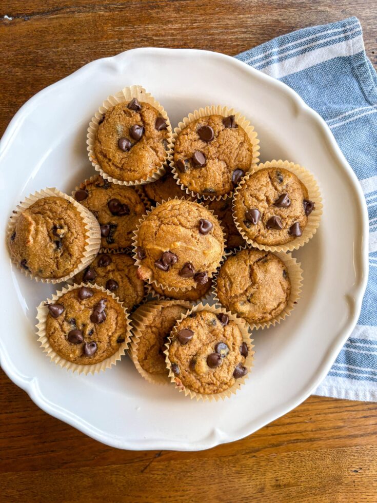 Easy Pumpkin Chocolate Chip Muffins (High Protein, Whole Wheat)