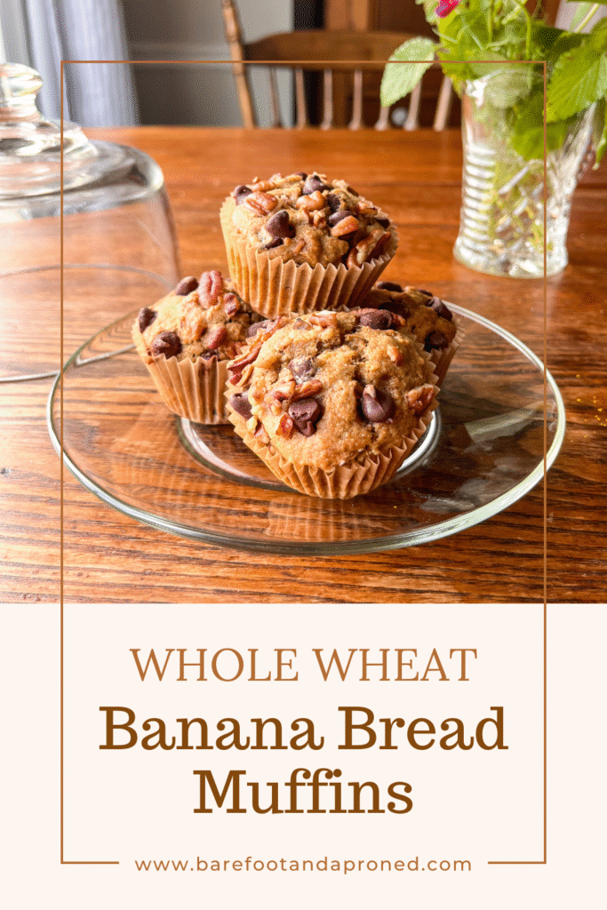 whole wheat banana bread muffins in a glass serving dish on a kitchen table