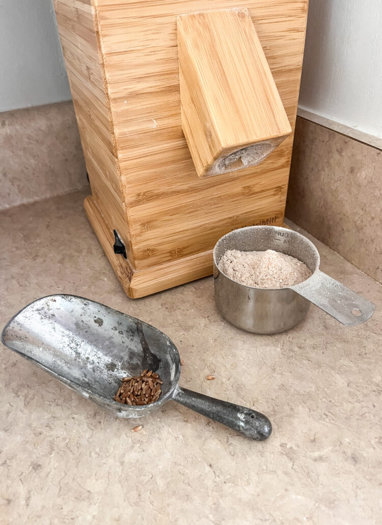 grain mill with fresh flour and scoop with wheat berries on a kitchen counter