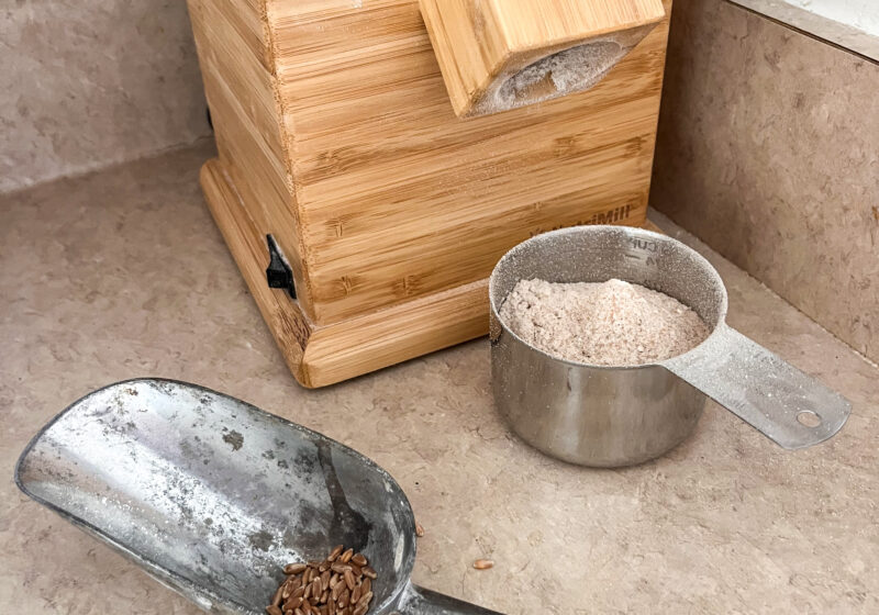 grain mill with fresh flour and scoop with wheat berries on a kitchen counter