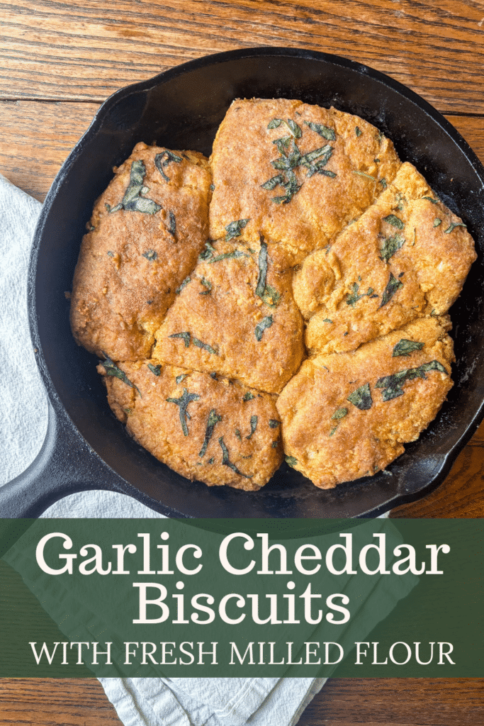 garlic cheddar biscuits in a cast iron skillet