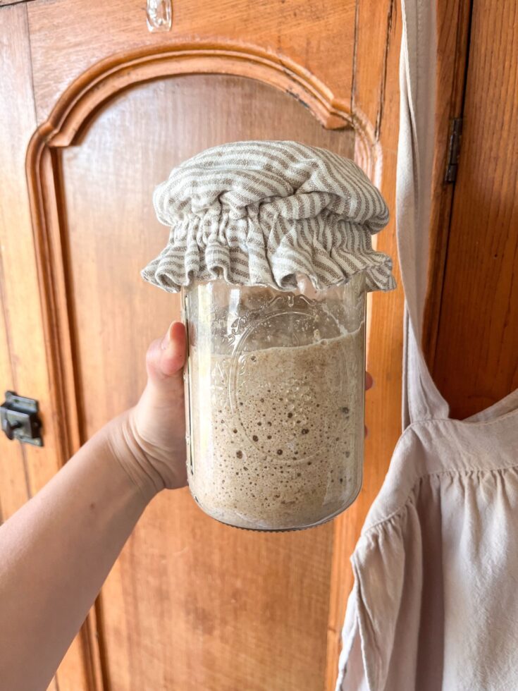 Sourdough Starter with Fresh Milled Flour